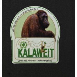 copy of Kalaweit Stickers