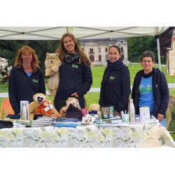 Blue T Shirt for Women and Men