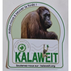 Autocollant Orang-Outan