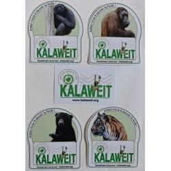 Autocollant Lots de 5