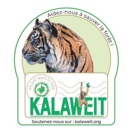 Autocollant Lots de 5