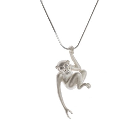 Gibbon Heart Catcher